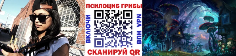 Купить  Уварово  Галлюциногенные грибы MAGIC MUSHROOMS 